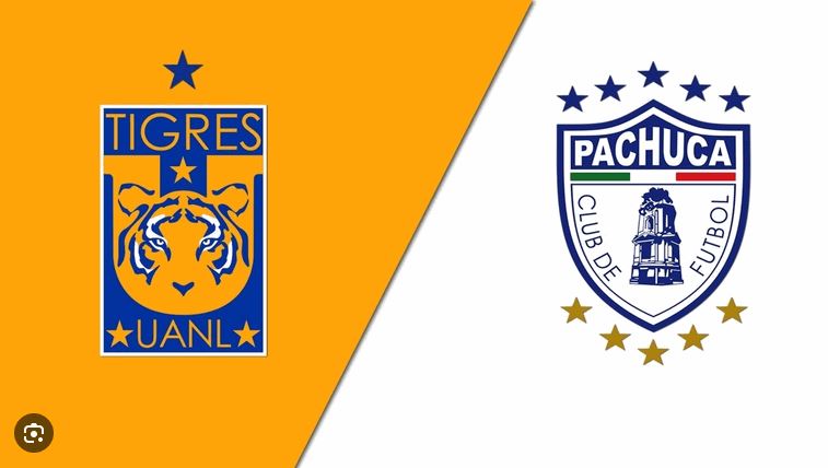 Nhận định Tigres UANL vs Pachuca lúc 10:00 ngày 27/10/2024 - Ảnh 3